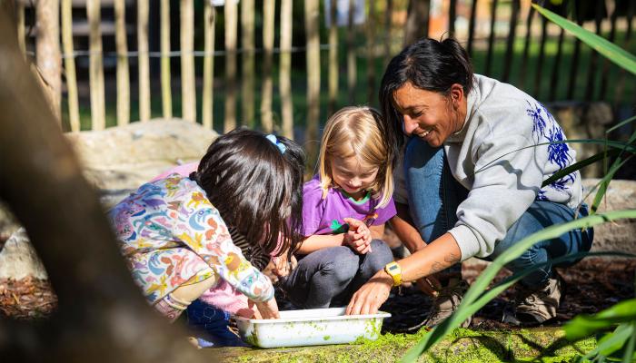 Primary students pond dipping