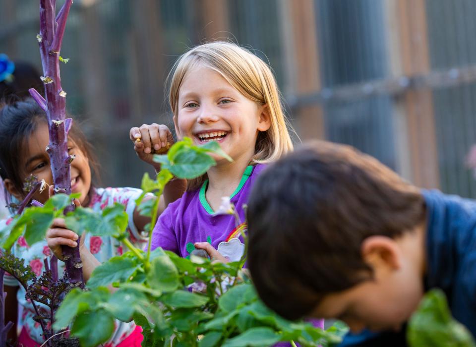 Primary student learning outdoors garden